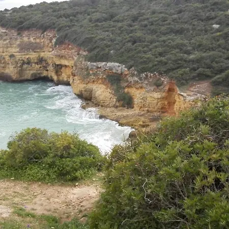 Moura Armação de Pêra